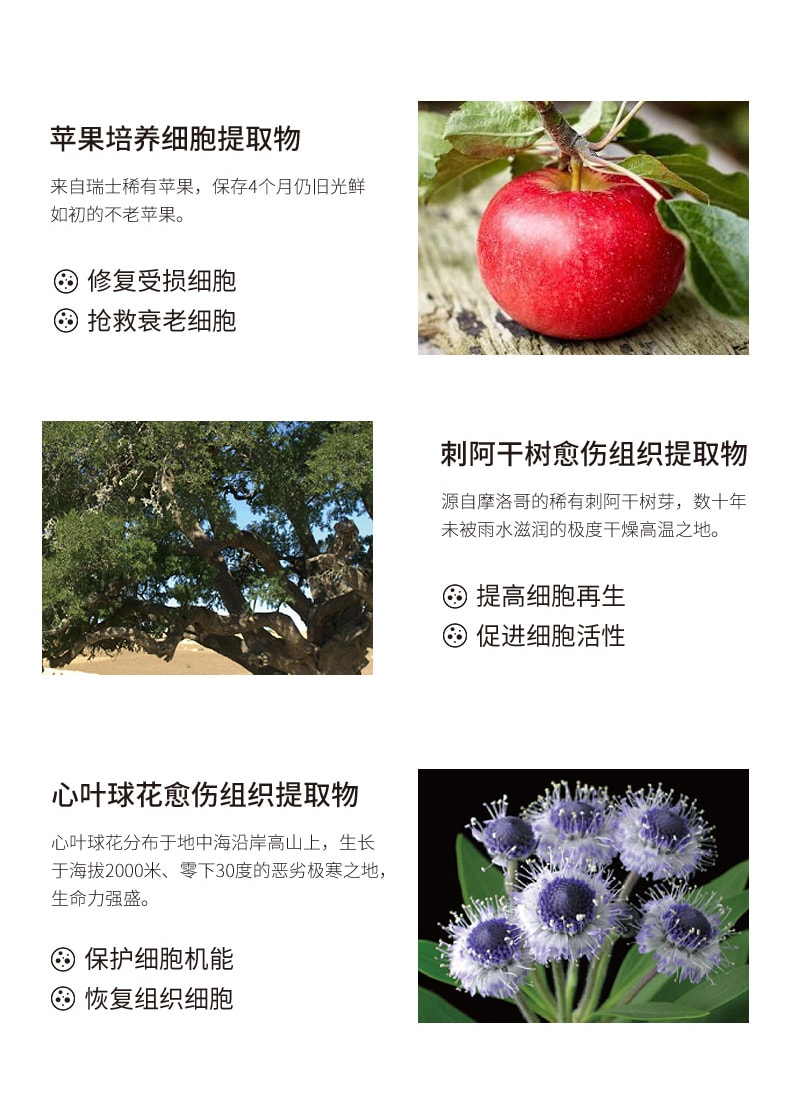 【日本直邮】MT METATRON 金萃活肤面霜 紧致抗皱紧实抗衰化修护细纹 30g