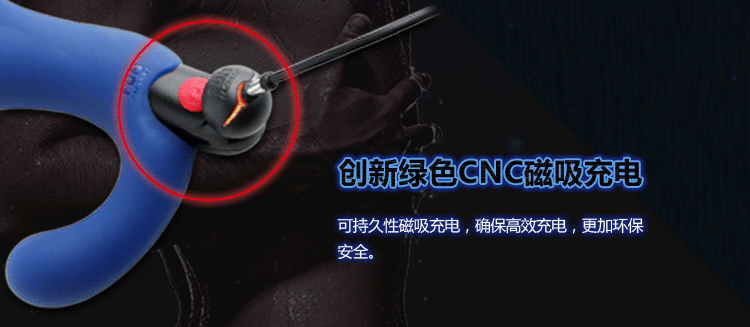 德国 FUN FACTORY Duke 前列腺按摩器 #黑色