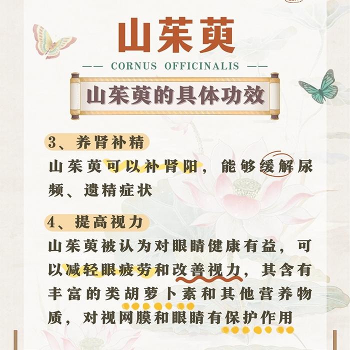  南京同仁堂 山茱萸 山萸肉中藥材特級 100g 「適合人群為膝蓋酸痛、眩暈、虛汗不止、肝虛寒熱」【果肉偏暗】