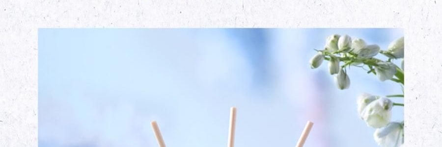 宋朝 西湖十景·龍井系列 無火香氛 香薰+擴香石禮盒