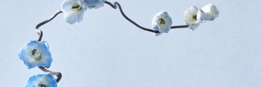 宋朝 西湖十景·龍井系列 無火香氛 香薰+擴香石禮盒