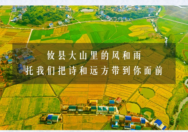 湖南 辣妹子 鲜辣椒酱 90克