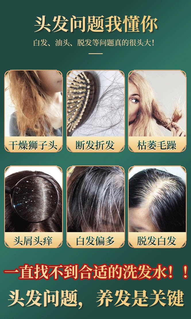 【中国直邮】北京同仁堂 何首乌侧柏叶植萃洗发水人参根 植萃呵护 养出秀发 300ml/瓶
