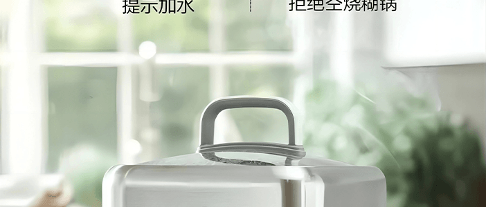 BUYDEEM北鼎 多功能蒸炖锅 隔水蒸炖锅电蒸锅 加大加高不挑餐具 7L G67US