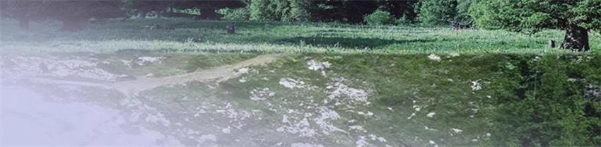 Maca tablets 60 capsules per bottle