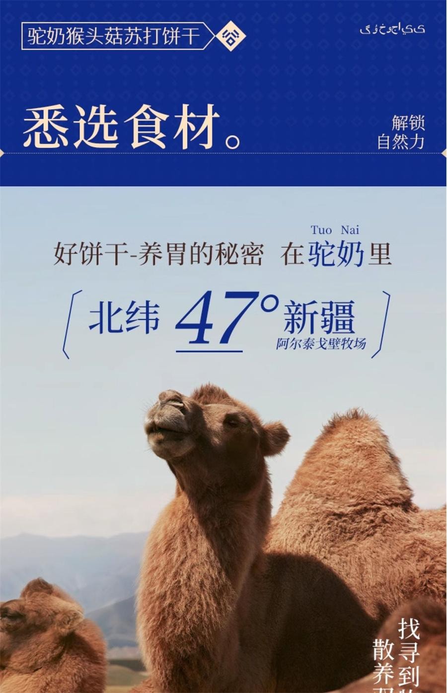 【中国直邮】 谷掌柜 咸驼奶猴头菇苏打饼干养胃零食早餐代餐无蔗糖添加    420g/盒