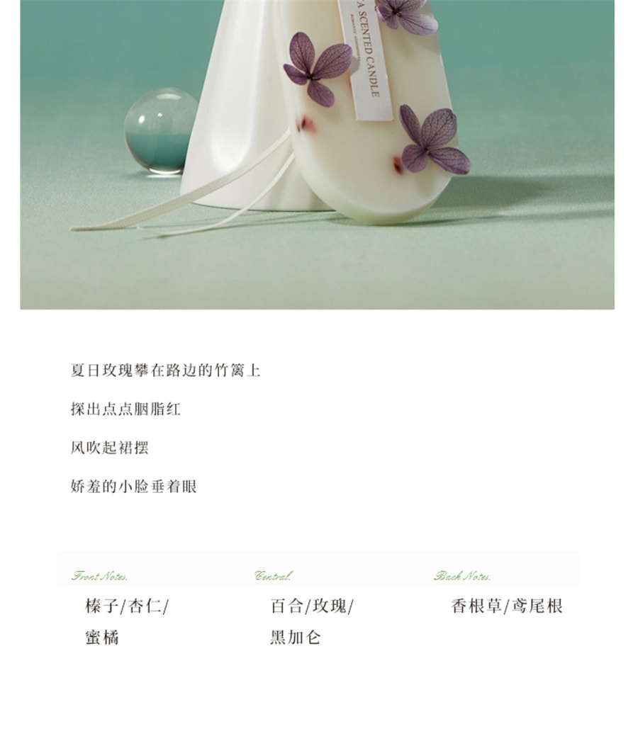 【中國直郵】CITTA西苔 香薰蠟片家用衣櫃持久清香除味掛片香氛香掛 韓粉-陽光玫瑰