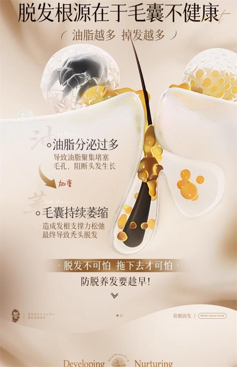 【中国直邮】 韩方五谷 生姜洗发水500ml/瓶 防脱固发控油蓬松去屑止痒增密育发膏露男女