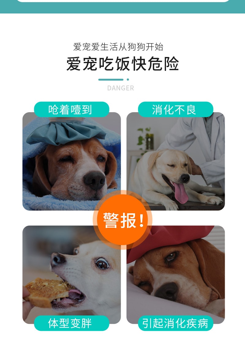 【中国直邮】尾大的喵 宠物防噎慢食碗 绿色 宠物用品