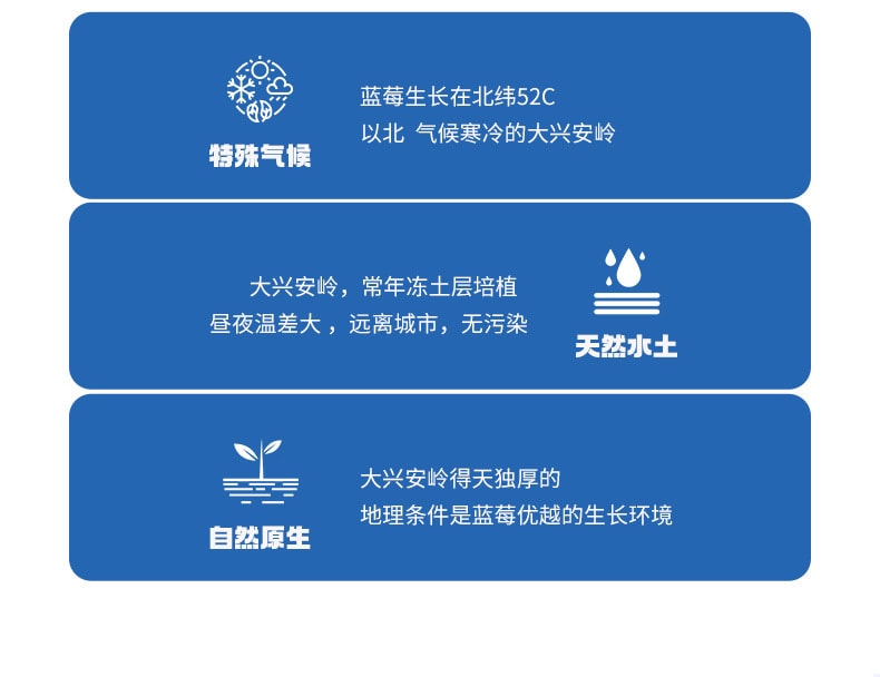 【中国直邮】宁安堡  蓝莓黑枸杞原浆蓝莓黑果枸杞子原浆提高免疫力 保护视力 改善睡眠  300ml/盒