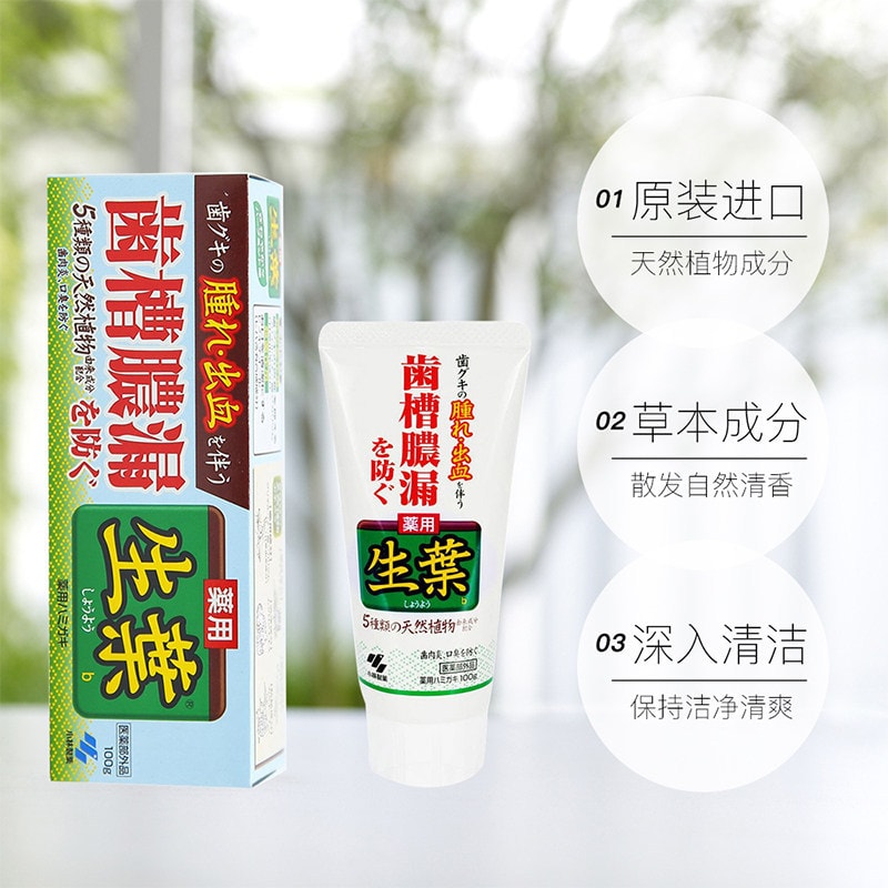 【日本直邮】日本KOBAYASHI 小林制药 生叶天然植物牙膏 有效防止牙龈出血 肿痛 绿色装 100g
