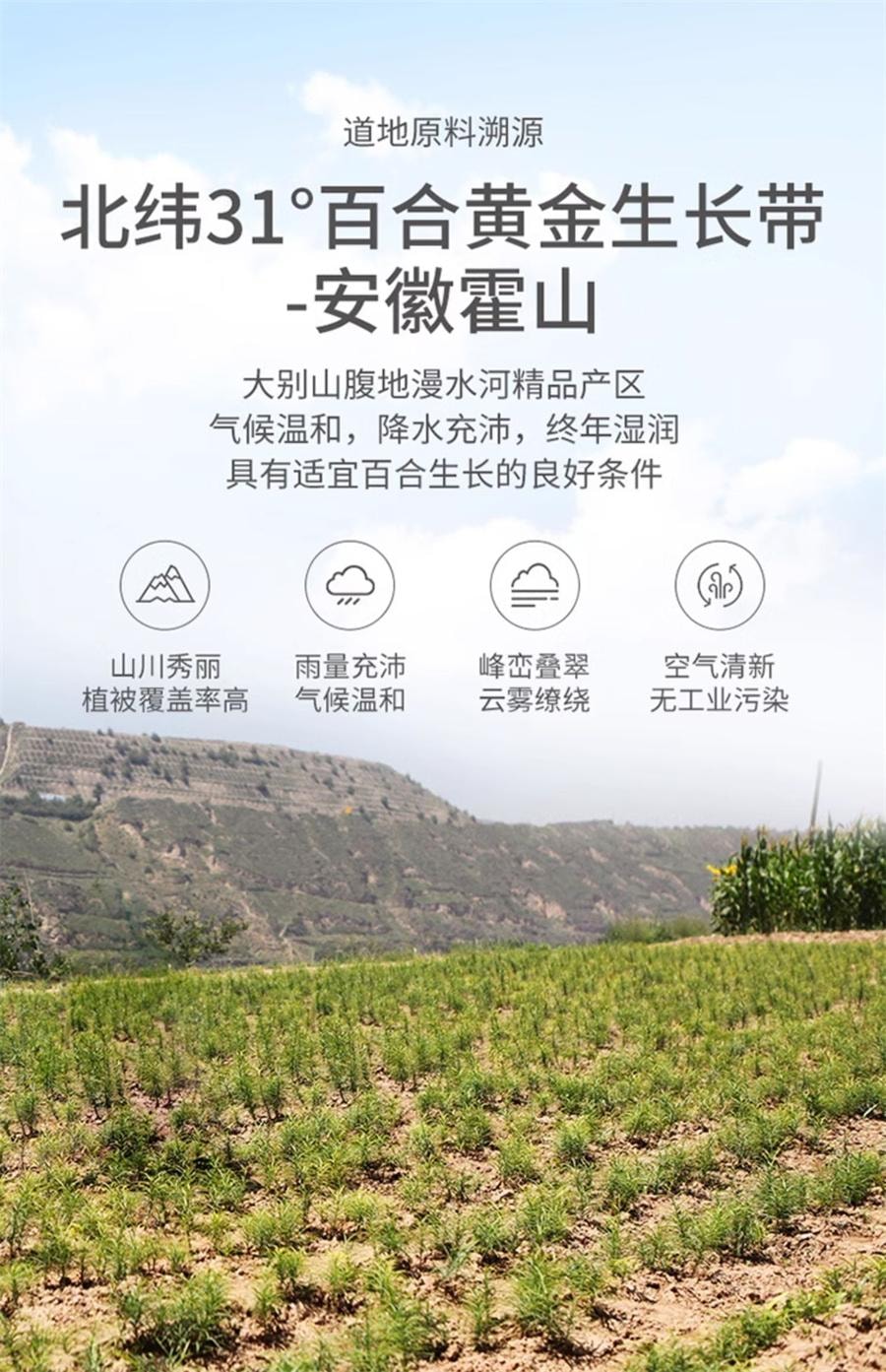 【中國直郵】 方家舖子 百合乾 新鮮食用藥百合乾貨非甜瓣大桂圓蓮子百合湯200g/袋