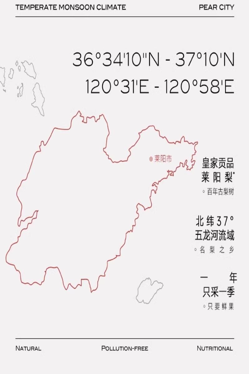 【中国直邮】 不二宝贝 婴儿幼儿童 枇杷秋梨膏 纯梨膏泡水 210g/桶