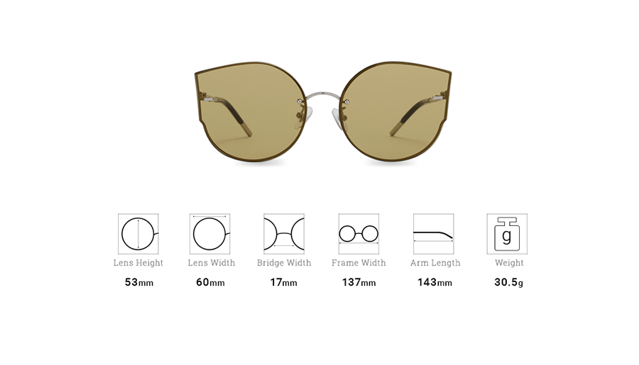 Sunglasses DL85008 C1 Brown