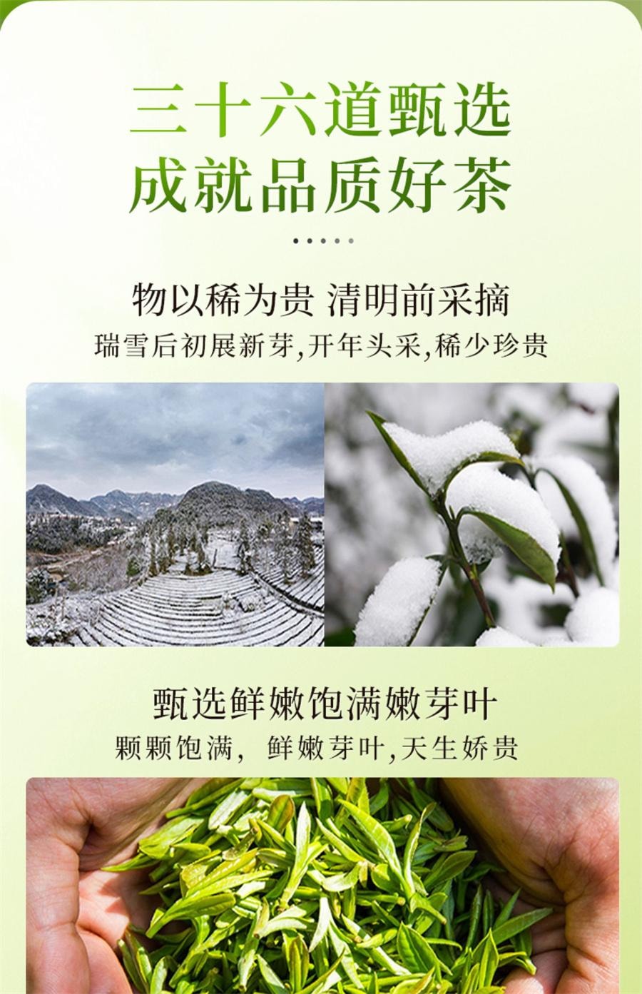 【中国直邮】 一杯香 明前碧螺春茶叶绿茶春茶自己喝新茶浓香  250g/罐