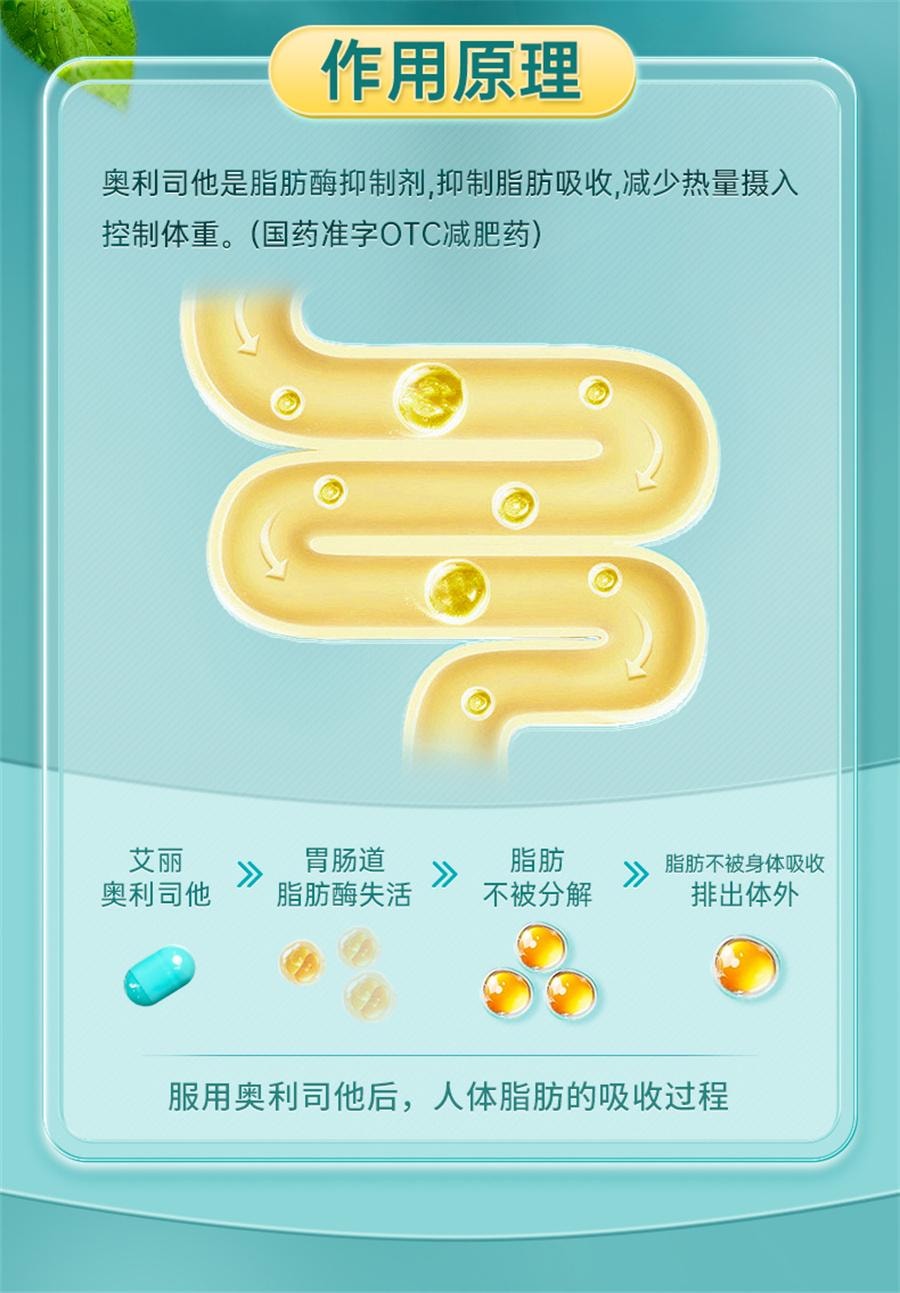 【中國直郵】 艾莉 膠囊 減肥排油燃脂瘦身腸胃男女專用21粒/盒