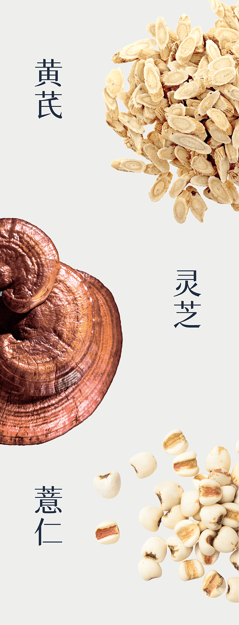 维特健灵 祛湿轻胶囊 懒人祛湿 中式养生必备 调理脾胃除湿气 60粒/瓶 【明星同款】