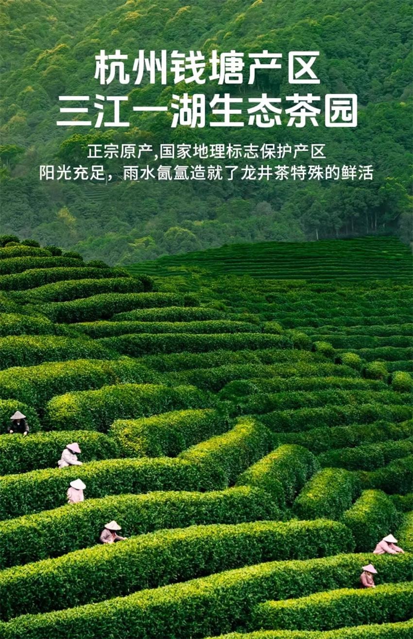 【中国直邮】 狮峰茶叶 2026新茶特级 明前龙井茶叶 礼盒装送礼长辈送西湖龙井春绿茶 150g/礼盒装