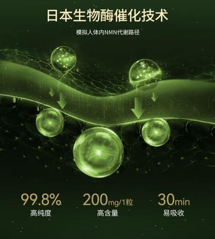 【日本直郵】 日本 清美堂 SEIBIDO日本 N+12000 高純度NMN單一配方膠囊 每瓶 60粒含NMN12000mg