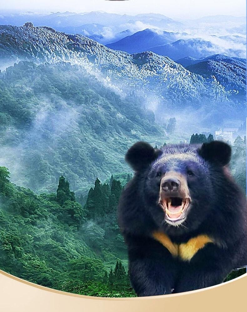 【中國直郵】 北京同仁堂 熊膽粉 清熱平肝明目熊膽粉膠囊 7瓶/盒