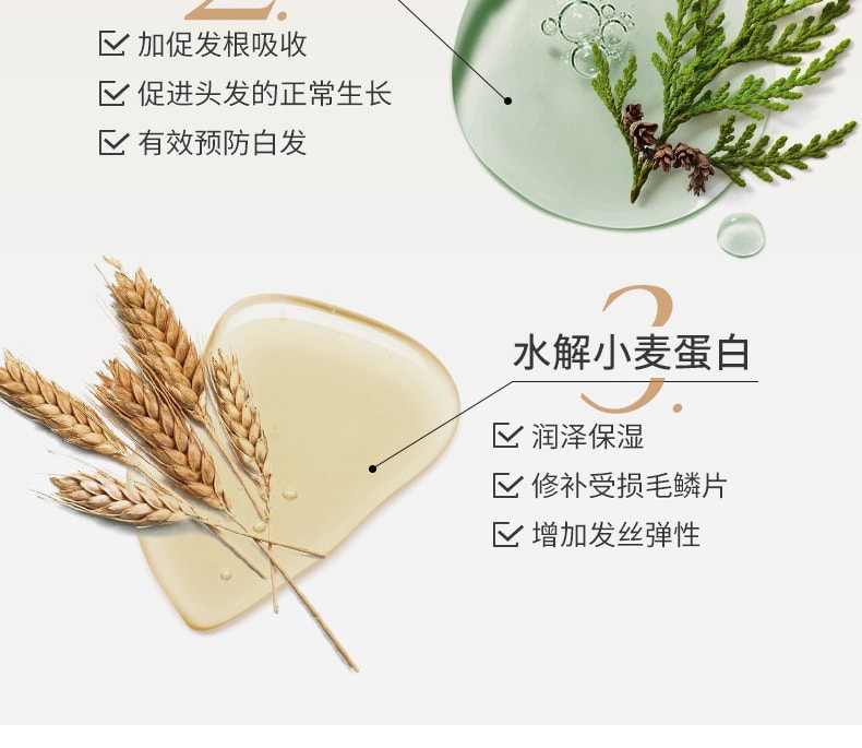 【中国直邮】修正 侧柏叶老姜洗发水乳育发固发防脱熬夜控油 320ml