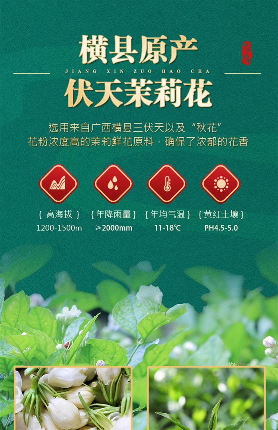 【中国直邮】中闽峰州   茉莉龙珠茉莉花茶特级浓香型 2025新茶叶绣球礼盒装  500g/桶