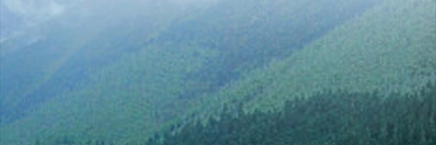 時樸 有機海帶 500g【煲湯火鍋食材】