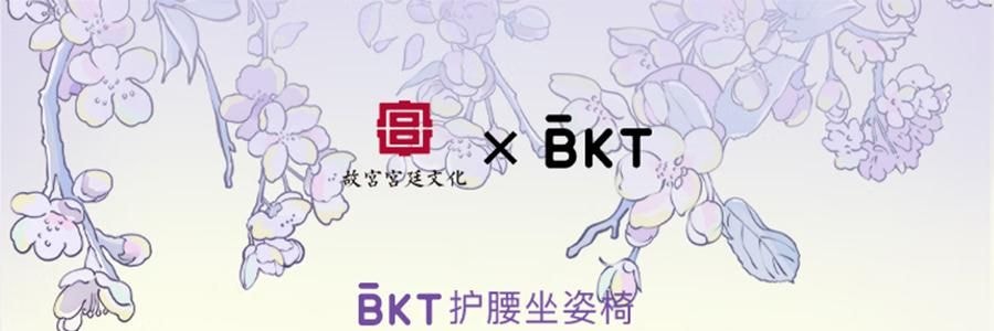 BKT 人体工学护腰坐垫靠背 久坐神器坐姿托 多种椅子适用 标准版神秘黑 