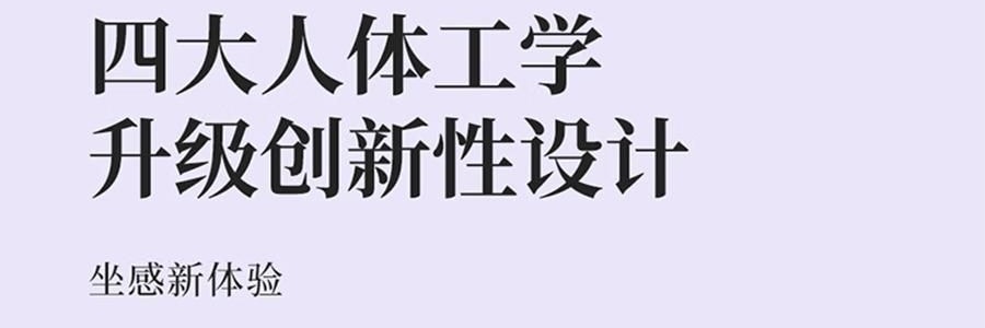 BKT 人体工学护腰坐垫靠背 久坐神器坐姿托 多种椅子适用 标准版神秘黑 