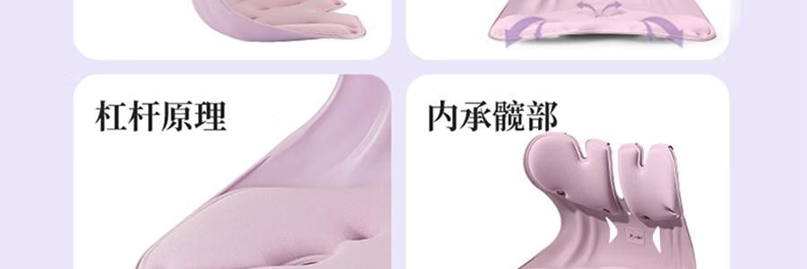 BKT 人体工学护腰坐垫靠背 久坐神器坐姿托 多种椅子适用 标准版神秘黑 