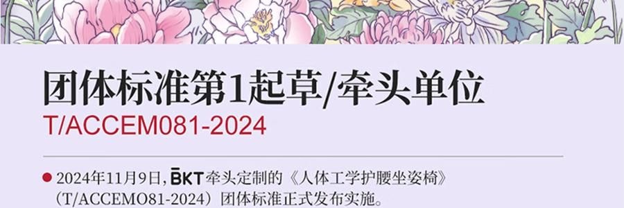 BKT 人体工学护腰坐垫靠背 久坐神器坐姿托 多种椅子适用 标准版神秘黑 