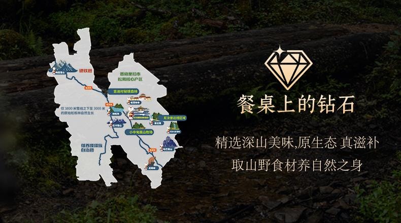 鸿贵食品 山野掌柜  云南原产地黑松露酱【非遗美食(巴黎)邀请赛获奖单位出品】FDA备案【出口特供黑松露≥38%】92g【健康纯净天然营养】拌面、炒饭、涂抹、各式烹饪增加口味丰富度 野生菌 云南山珍