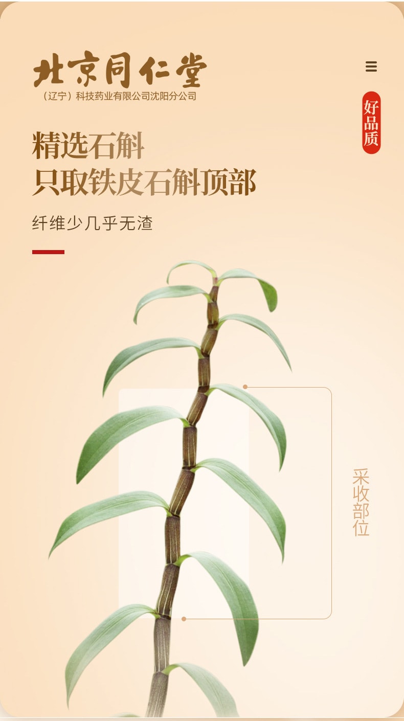 【中国直邮】北京同仁堂  铁皮石斛枫斗新鲜石斛干条石斛泡茶煲汤滋补品  60g/罐