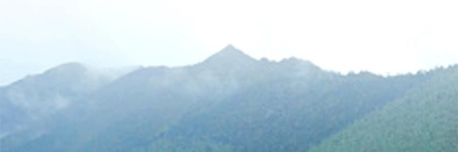 時樸 雲耳片 120g【雲南特產木耳】【胖東來同款】