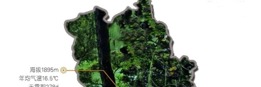 時樸 雲耳片 120g【雲南特產木耳】【胖東來同款】