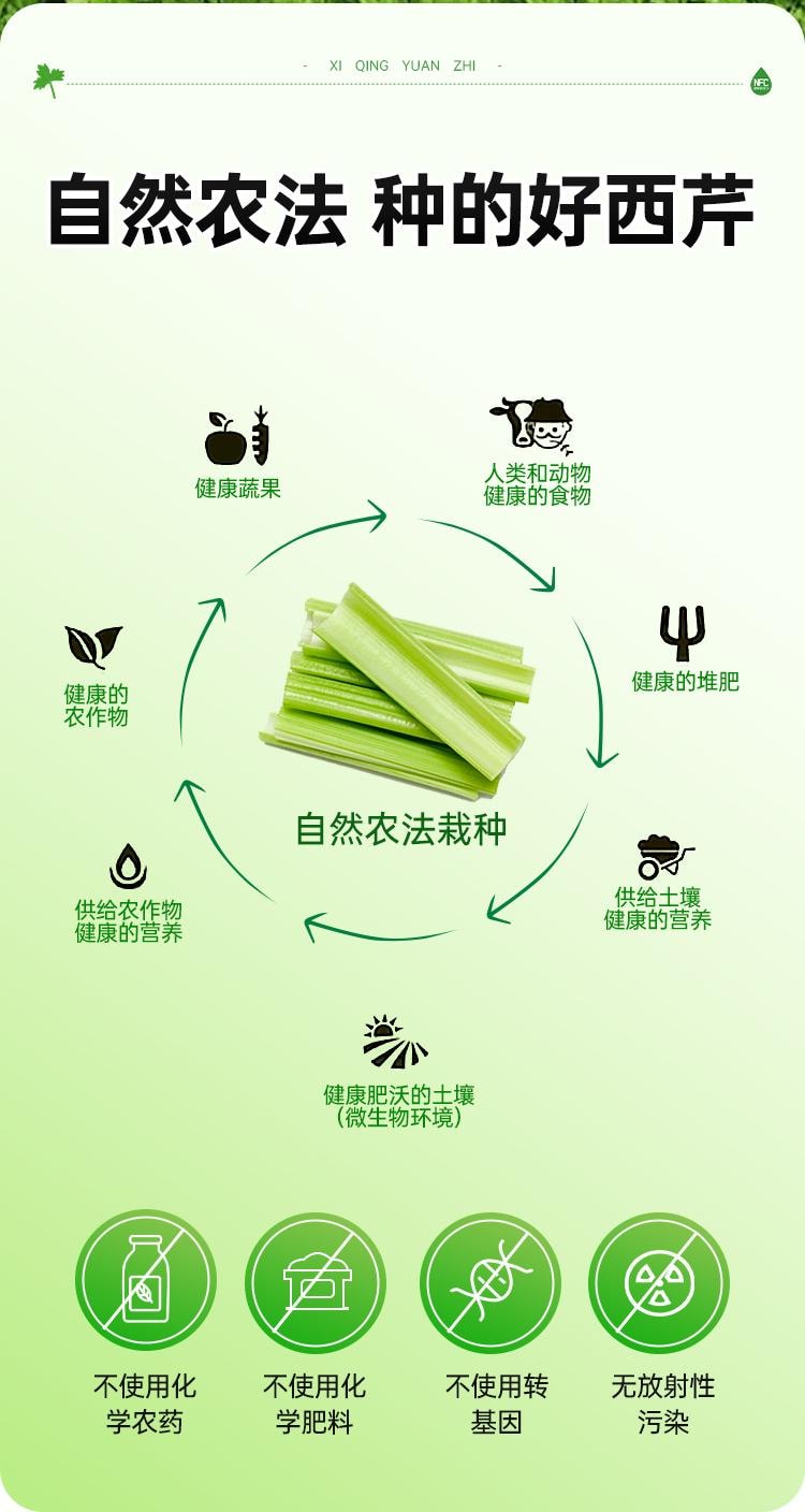 【中国直邮】 舒元康 西芹汁50ml*12袋原浆果蔬芹菜汁低卡NFC鲜榨果汁无糖轻断食饮料液体沙拉0脂