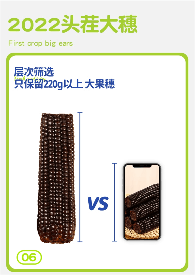 【中国直邮】昔日印象 低卡黑糯玉米5根/箱新鲜正宗东北甜粘有机玉米减棒低脂期即食真空包装
