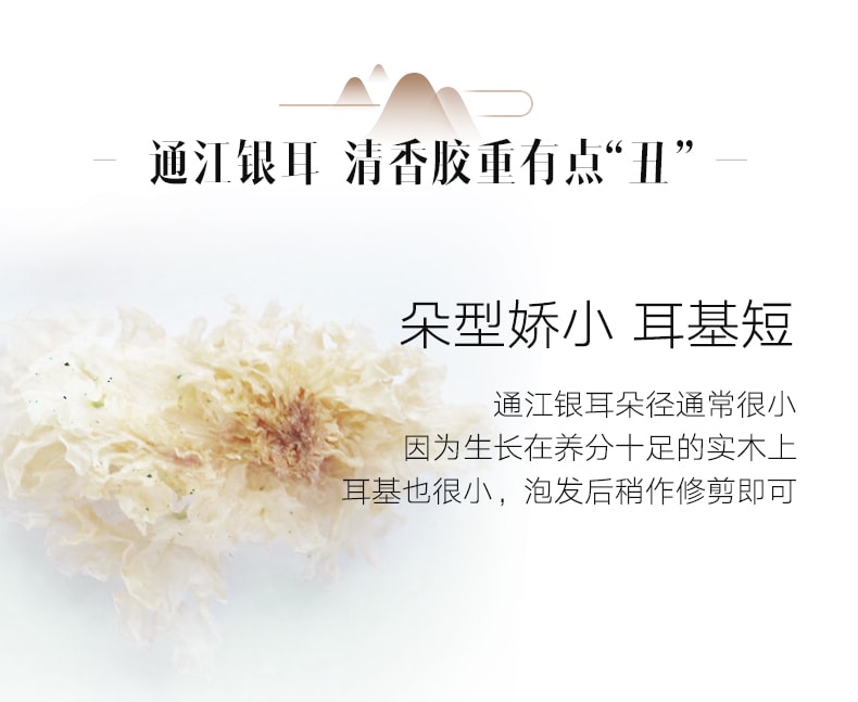 Tremella Yiner 80g