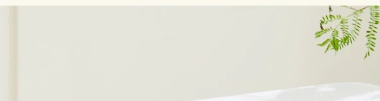 【中國直郵】LIFEASE 網易嚴選 田園手繪美式餐具系列 新田園手繪-烤盤2只(方+圓)