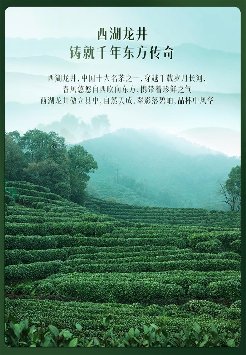 【中國直郵】西湖牌 2025新茶上市西湖龍井 明前特級老茶樹綠茶茶葉散裝春茶 200克