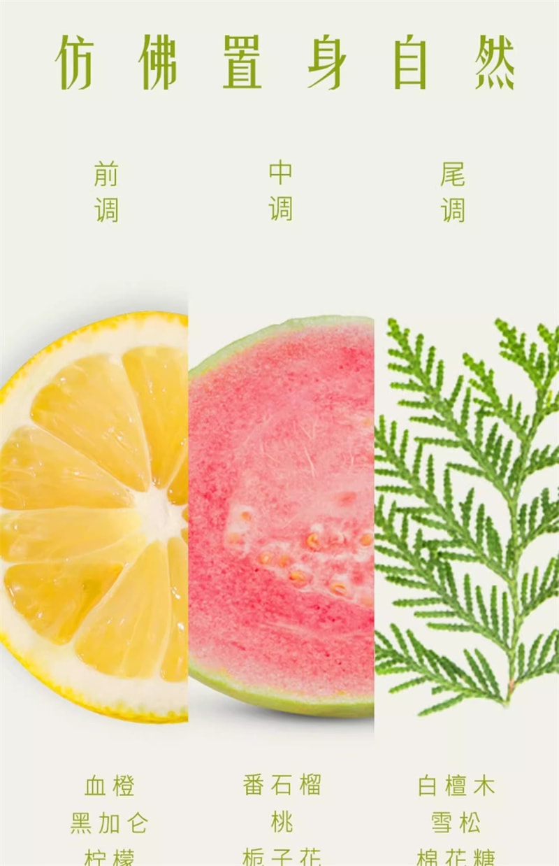 【中国直邮】HAIR RECIPE 无花果洗发水 去油蓬松 净澈头皮 补充发丝支撑力 280ml/瓶(单依纯同款推荐)