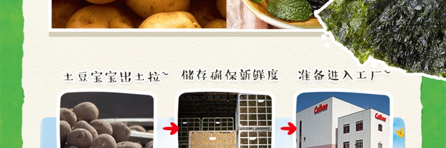 【贈品】日本CALBEE卡樂比 JAGARICO 馬鈴薯脆棒 鮮香海苔口味 52g