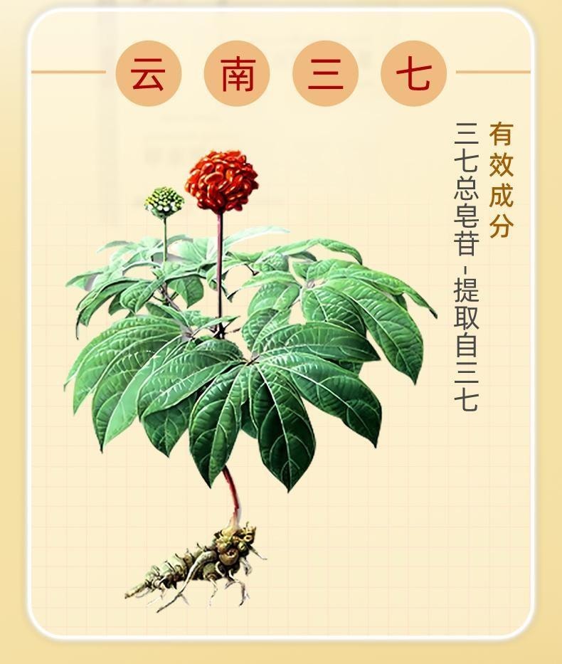 【中国直邮】 999 血塞通软胶囊 活血袪瘀 通脉活络 0.33g*120粒/盒