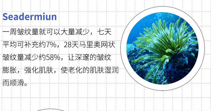 【日本直邮】RECORE SERUM DDS小星星 海藻幸福海洋面膜 50ml 抗氧紧致(旧版海洋面膜停止发售)