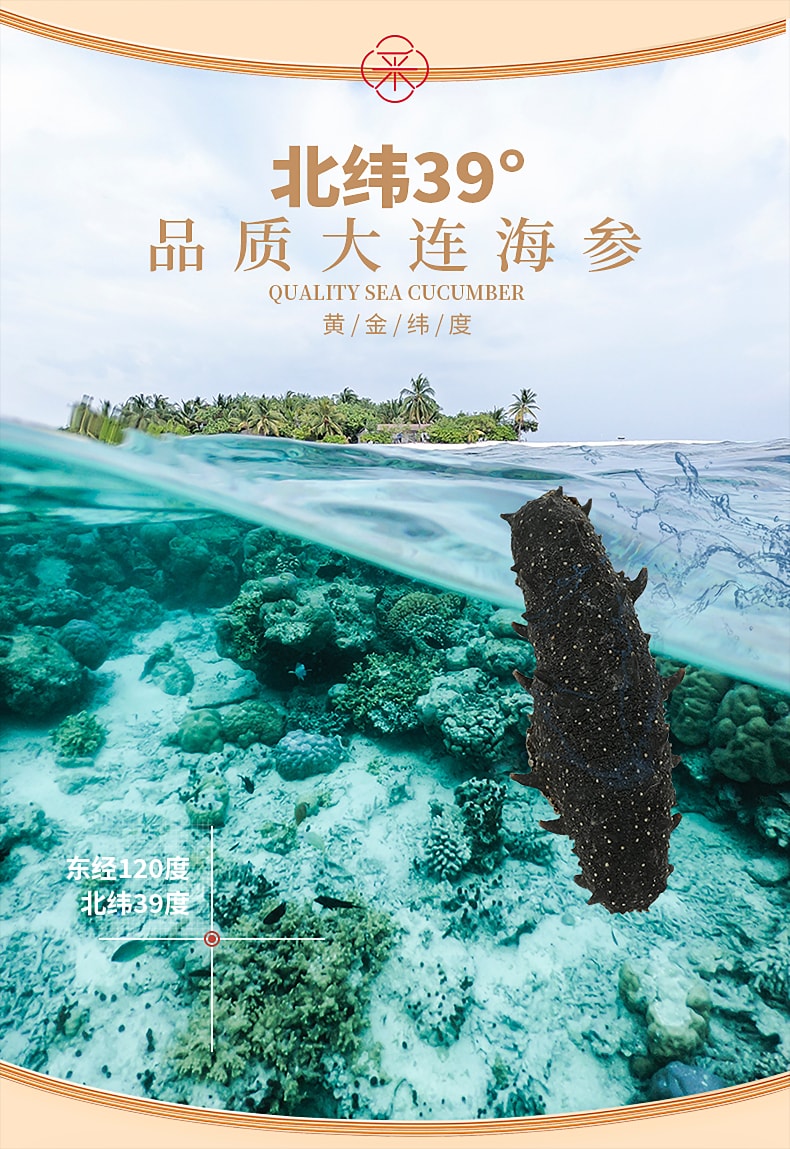 【金裝海參禮盒】野生海參乾貨150g純淡幹發率高深海遼刺參海滲叁禮盒孕婦提高免疫秋冬滋補