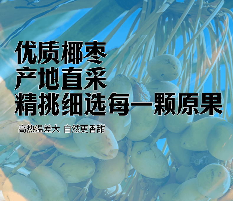 好想你 黑椰枣新疆特产蜜饯零食即食 煲汤100g