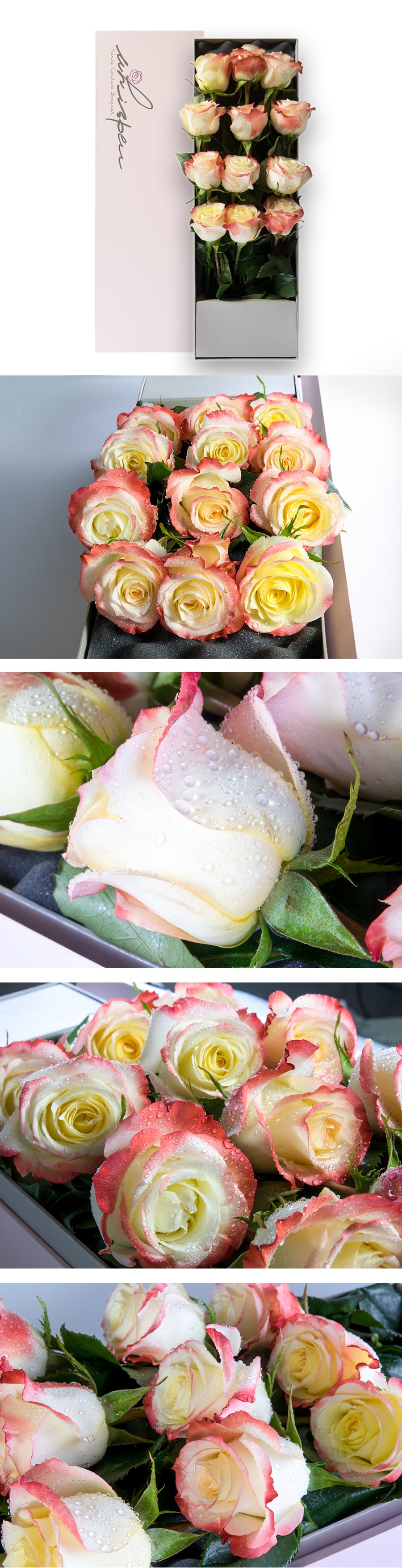 Whisper Bouquet  fresh rose box (first love)