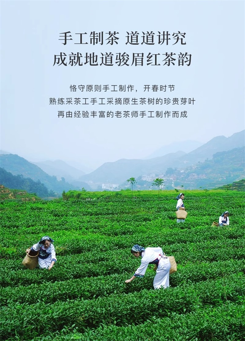 【中国直邮】 八马茶业 武夷山 金骏眉 红茶 特级红茶 自己喝的茶80g