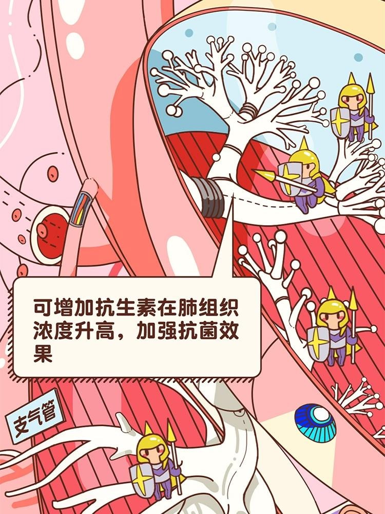 【中国直邮】 999 盐酸氨溴索口服液100ml化痰止咳慢性支气管炎痰稠咳嗽药小儿童