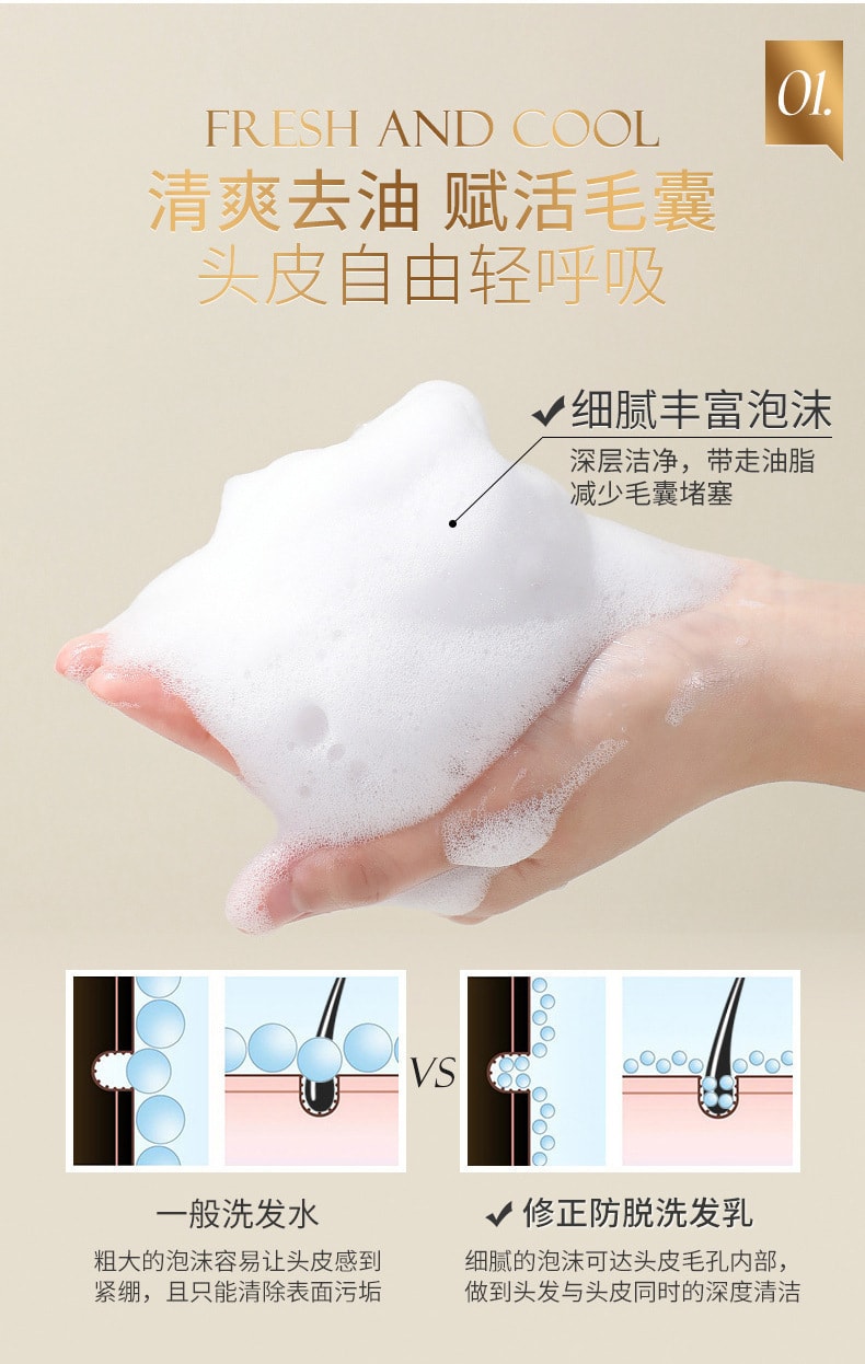 【中国直邮】修正 侧柏叶老姜洗发水乳育发固发防脱熬夜控油 320ml